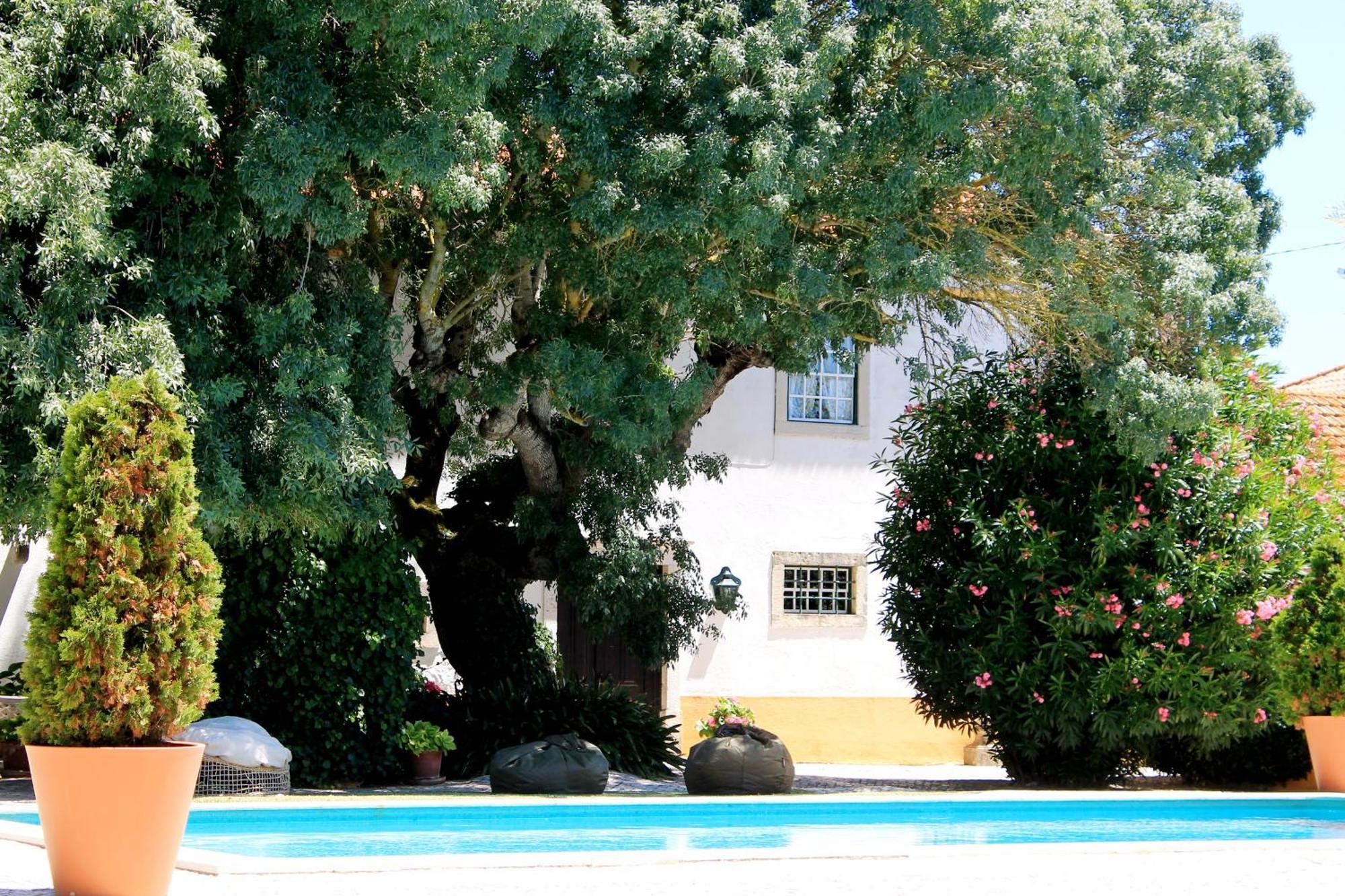 فيلا Quinta Do Casal De Santo Antonio ألينكوير المظهر الخارجي الصورة