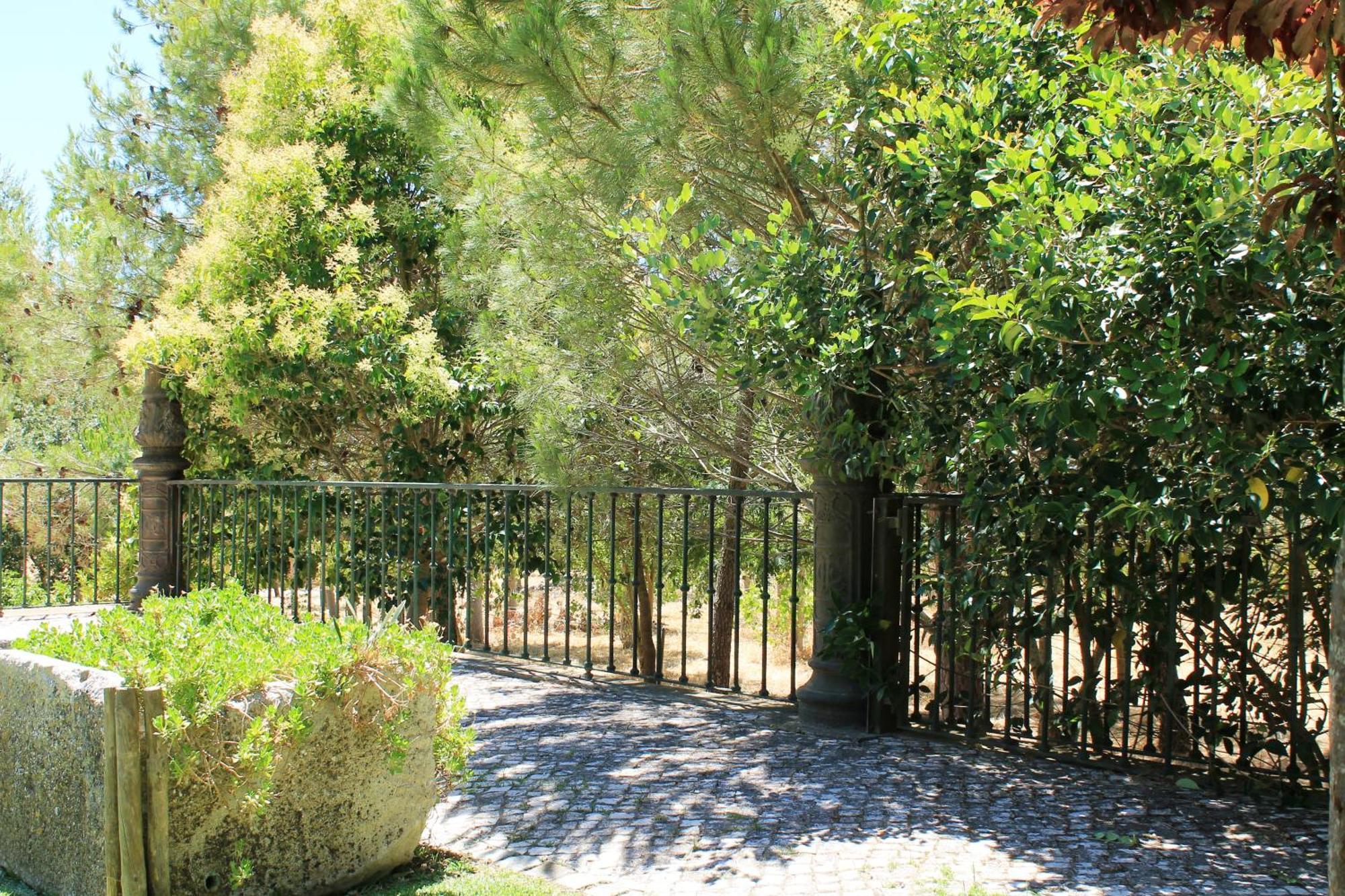 فيلا Quinta Do Casal De Santo Antonio ألينكوير المظهر الخارجي الصورة