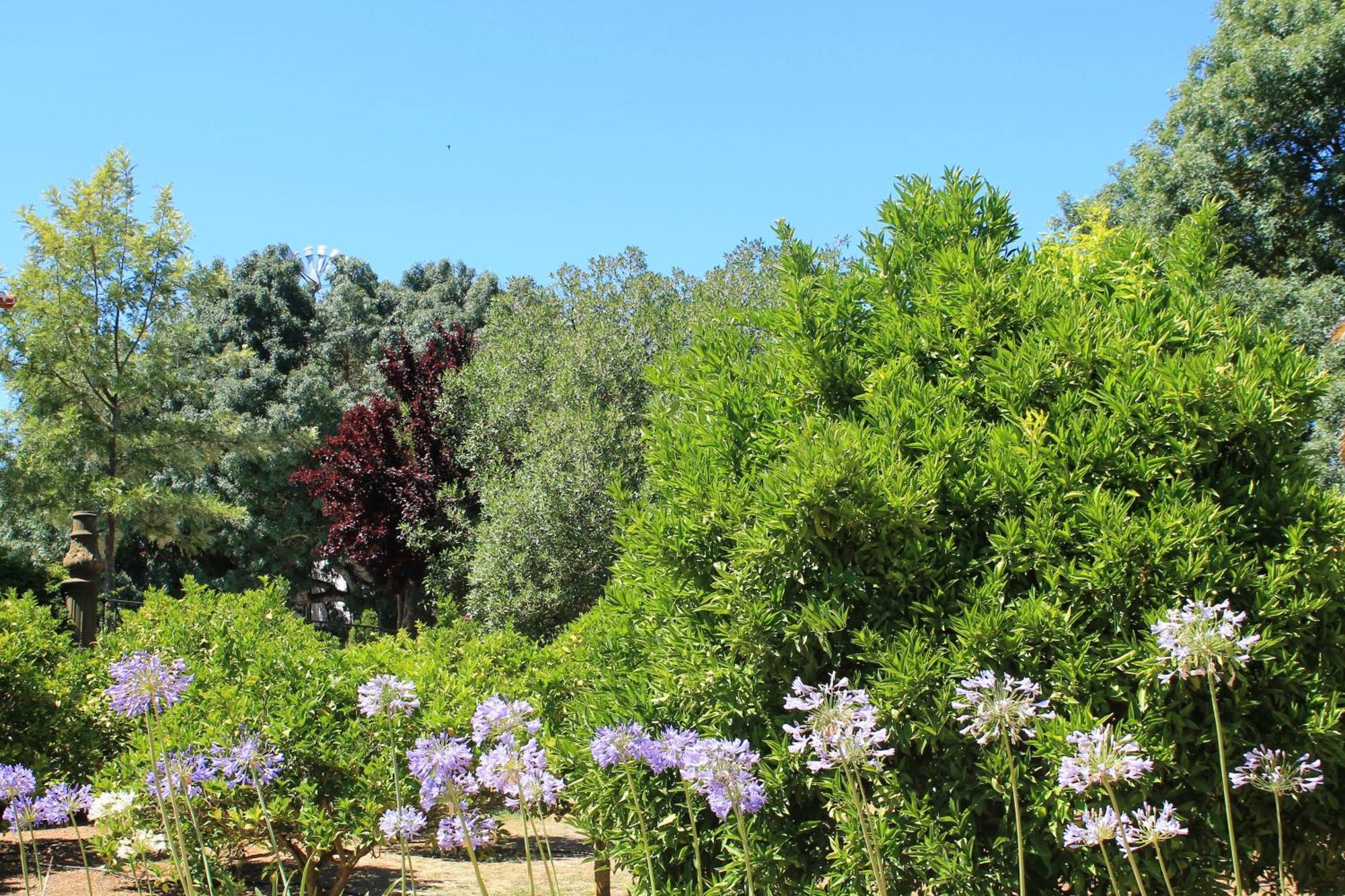 فيلا Quinta Do Casal De Santo Antonio ألينكوير المظهر الخارجي الصورة