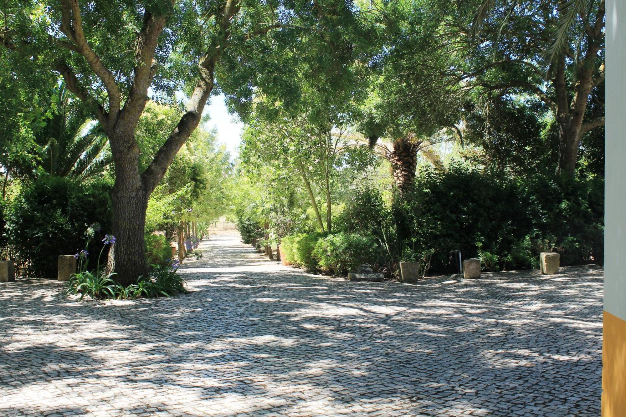 فيلا Quinta Do Casal De Santo Antonio ألينكوير المظهر الخارجي الصورة